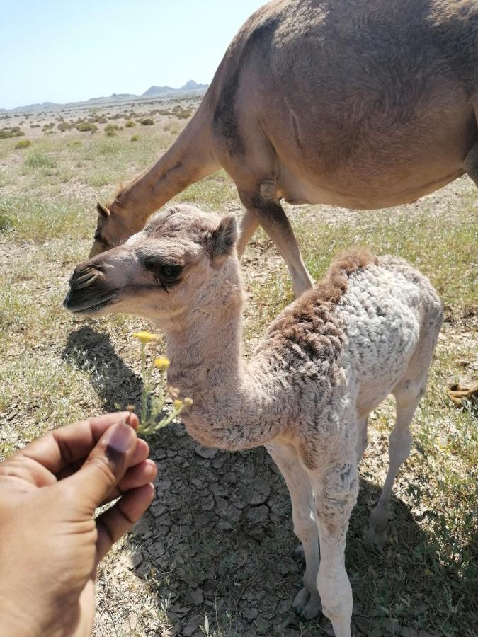 Masirah Beach Camp Masirah Island Luaran gambar