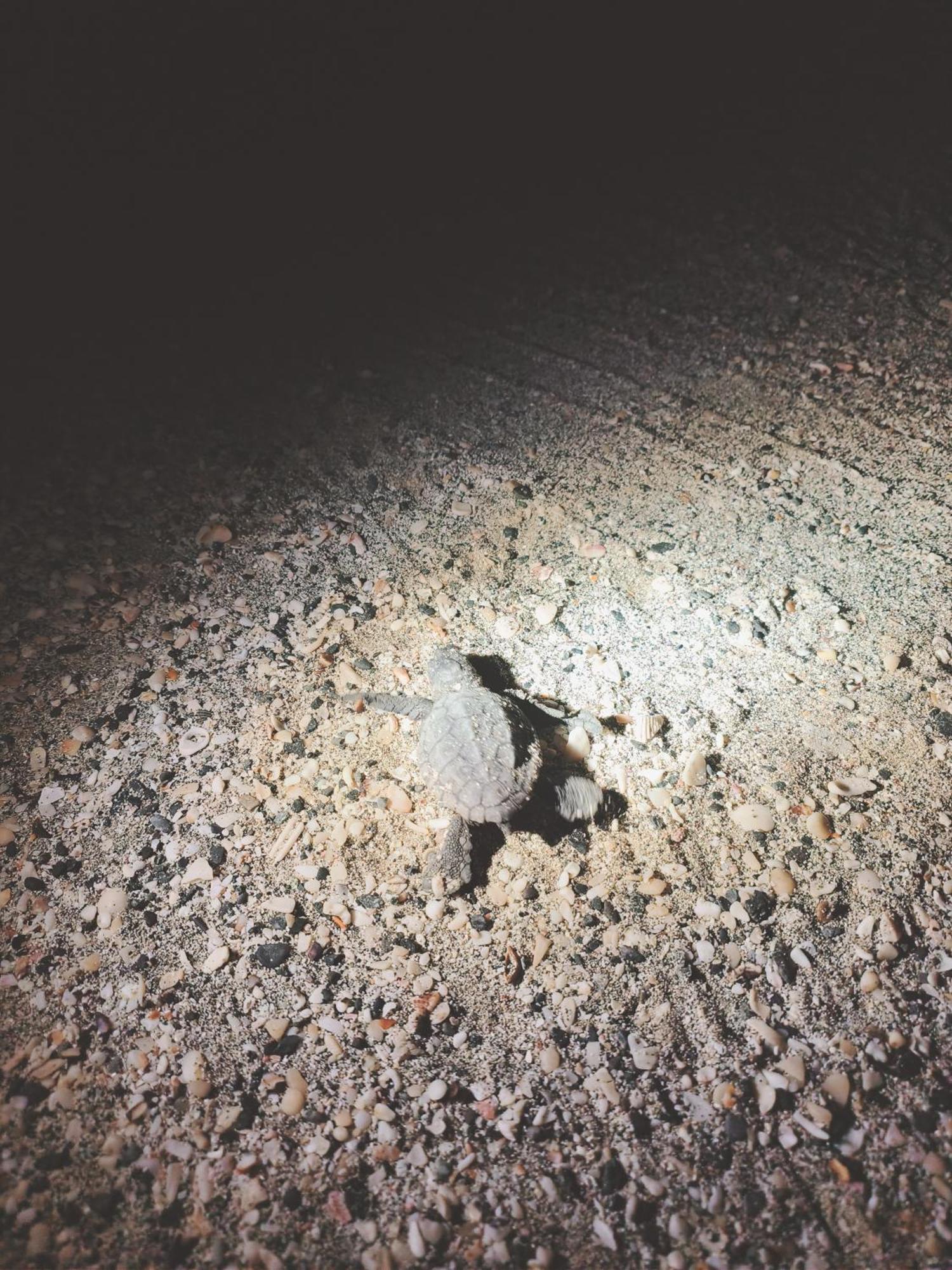 Masirah Beach Camp Masirah Island Luaran gambar